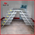 Sistema automático de água Quail Barreding Cages